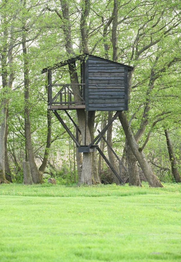 Kaimo Turizmo Sodyba Satavi Kinty Exterior photo