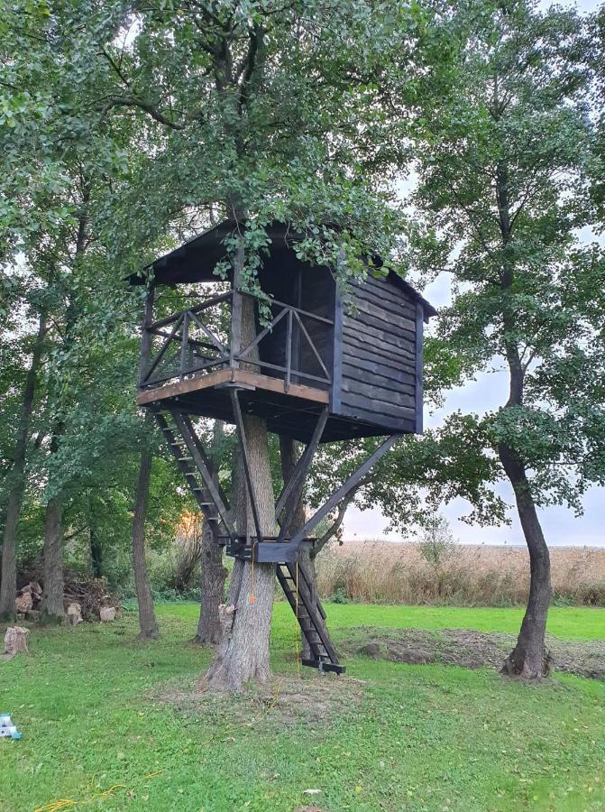 Kaimo Turizmo Sodyba Satavi Kinty Exterior photo